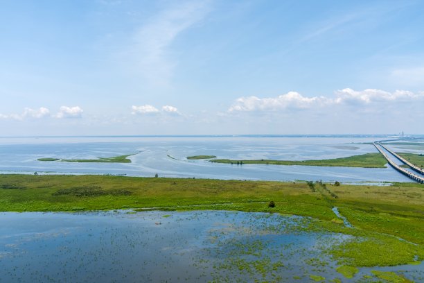delta