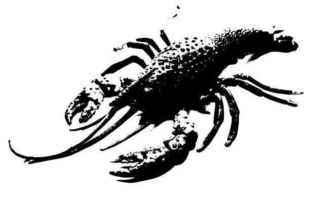 无脊椎动物标志