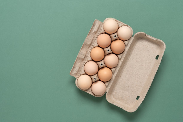 绿色小清新鸡蛋包装盒