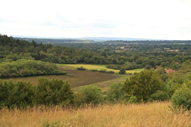 surrey