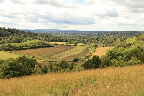 surrey