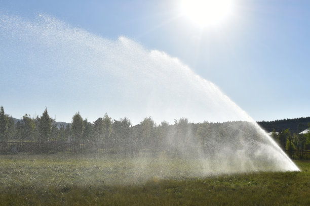 sprinkler