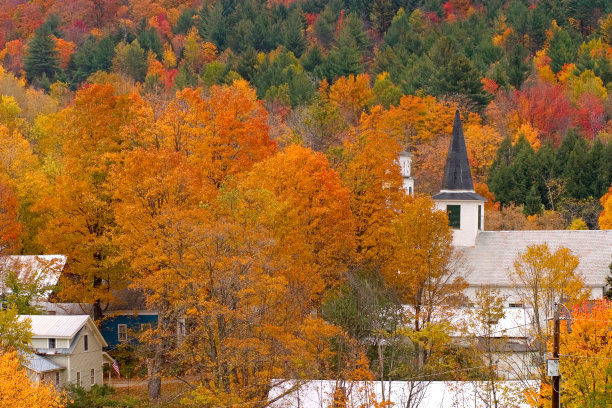 vt