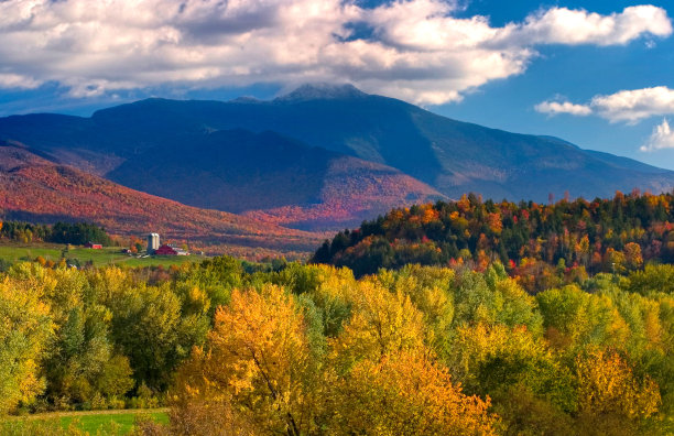 vt