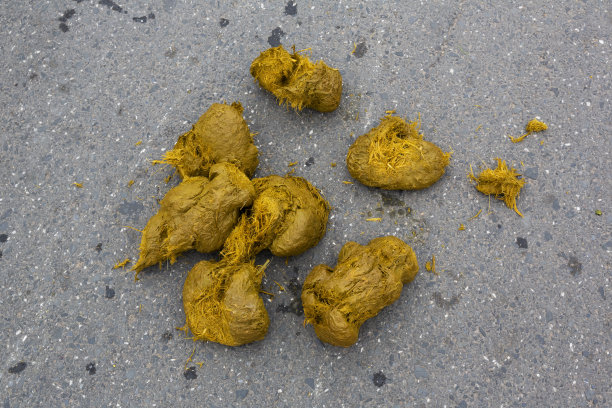 poo