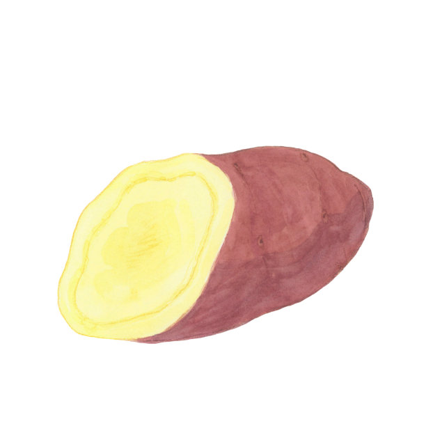 番薯绘画