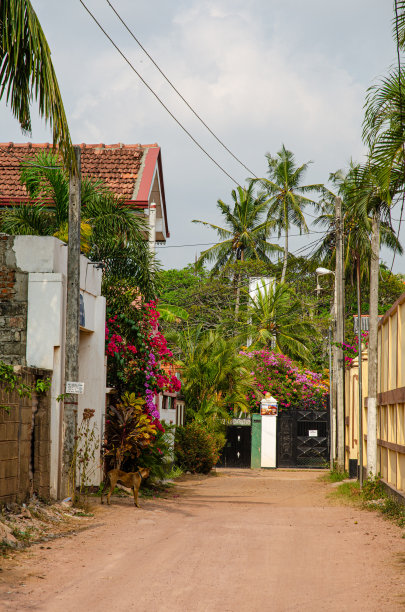 negombo