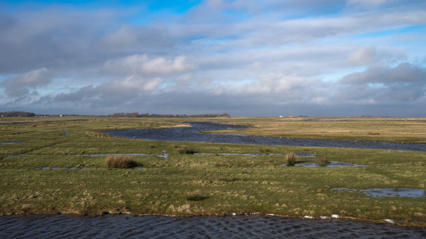 _texel