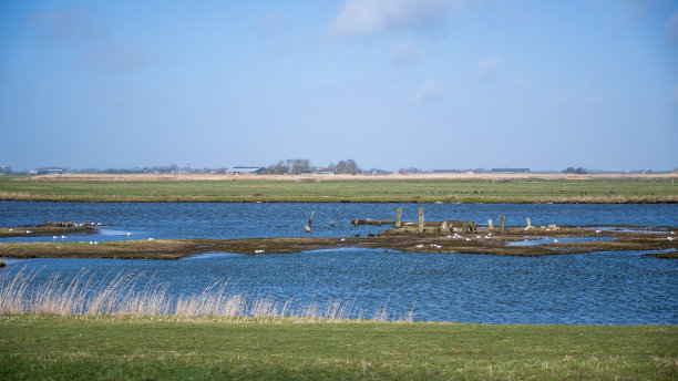 _texel