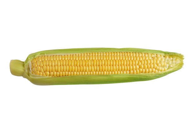 maize