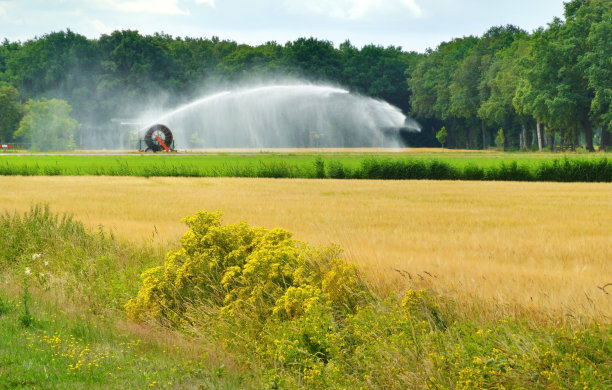 sprinkler