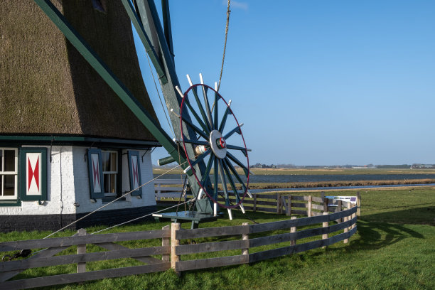 _texel