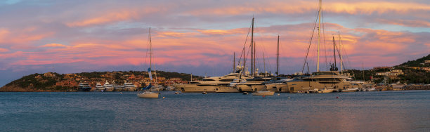 cervo