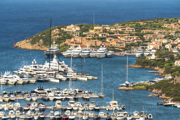 cervo
