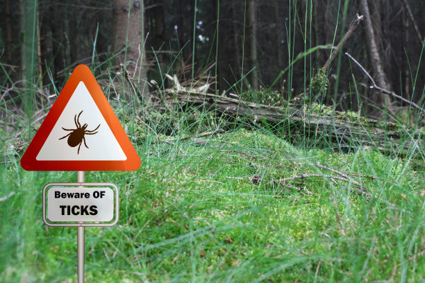 无脊椎动物标志