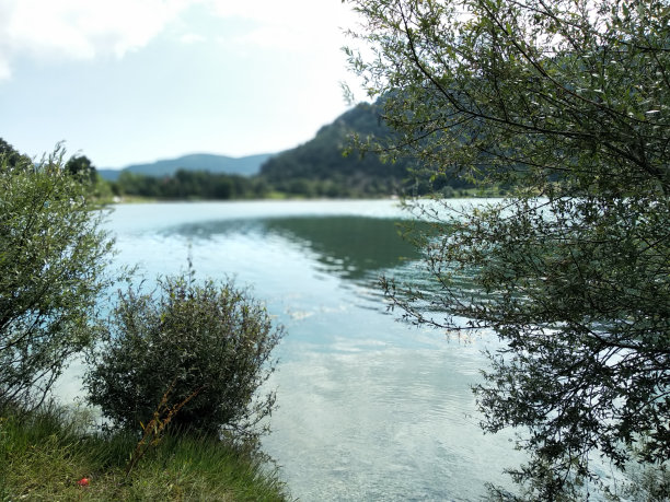 bolu