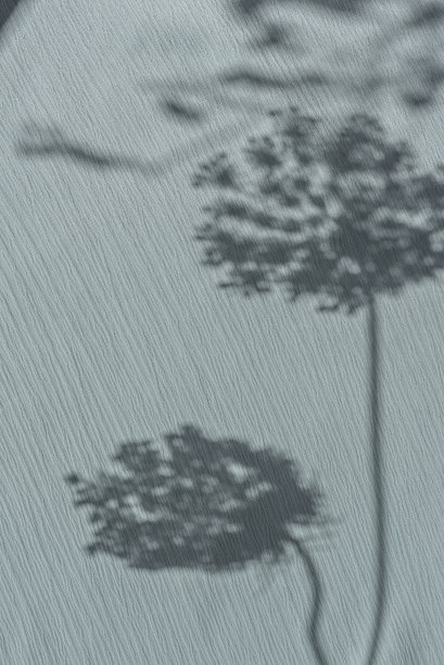 壁纸桌布窗帘印花