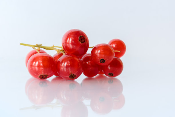 redcurrant