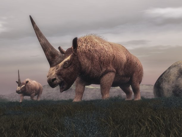 史前时代,侏罗纪,已灭绝生物