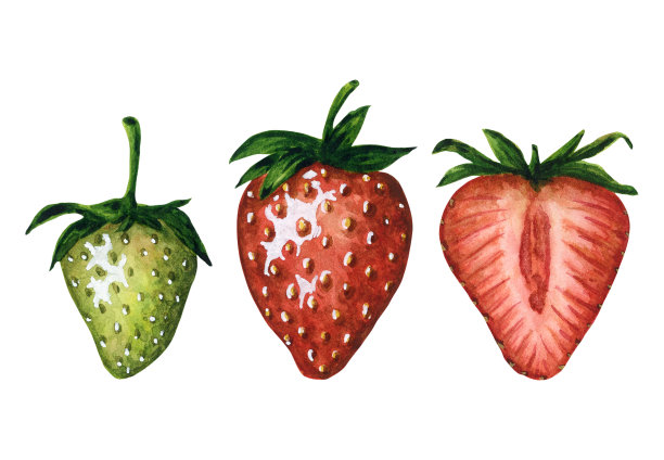 草莓果酱海报