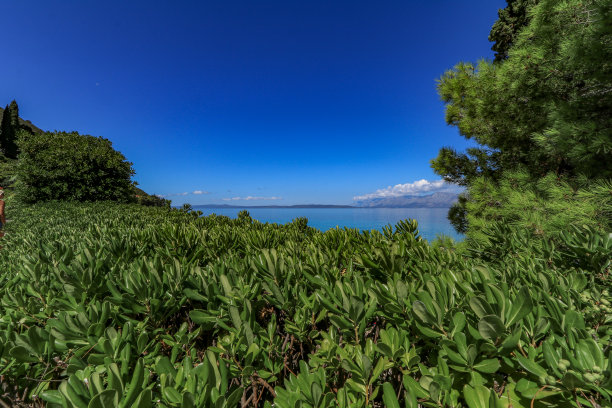 尖山湖湖畔风景