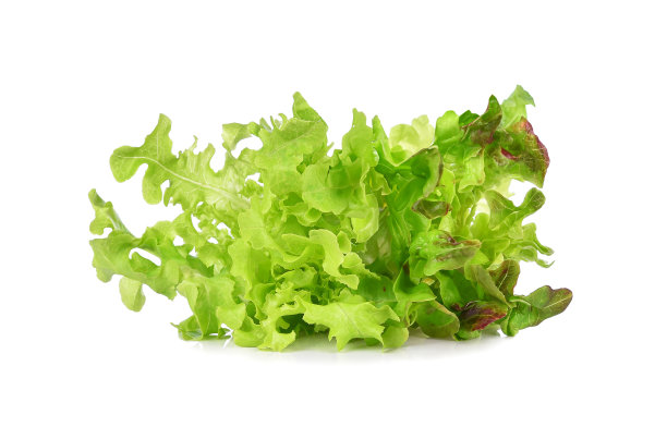 romaine