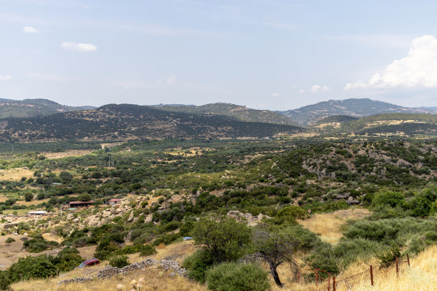 assos