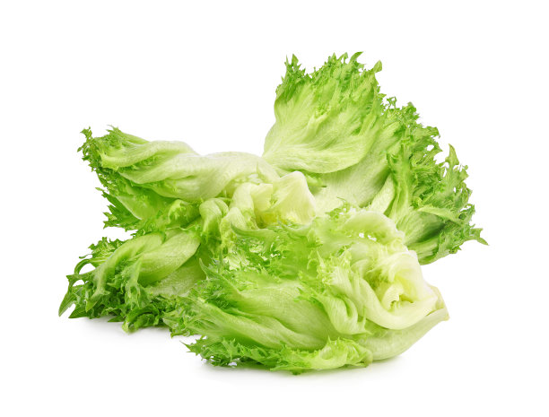 romaine