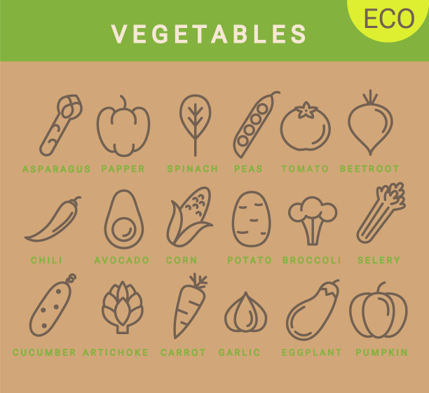 蔬菜市场宣传页农副产品