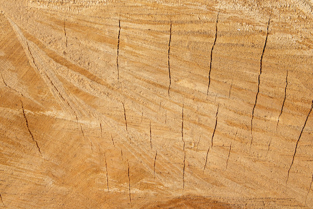 notch