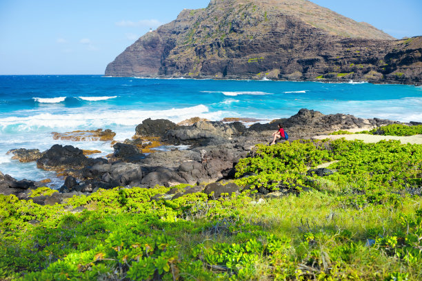 aloha
