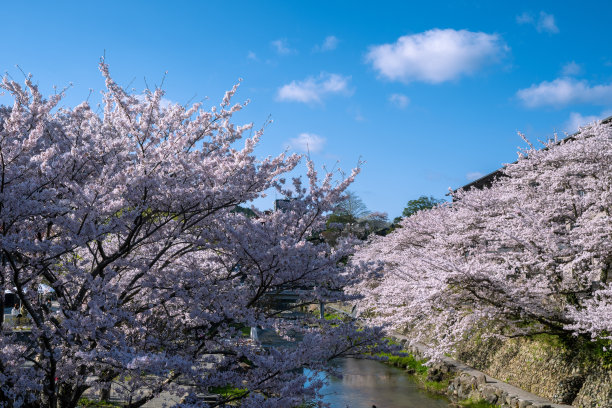 郊野温泉