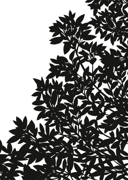 春节春分贴图