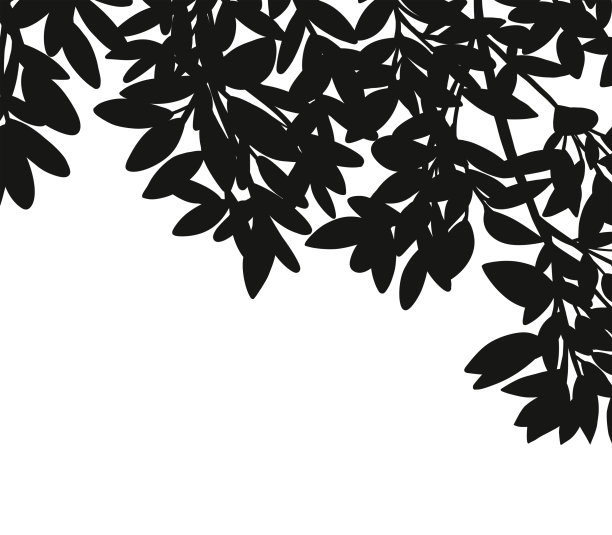 春节春分贴图