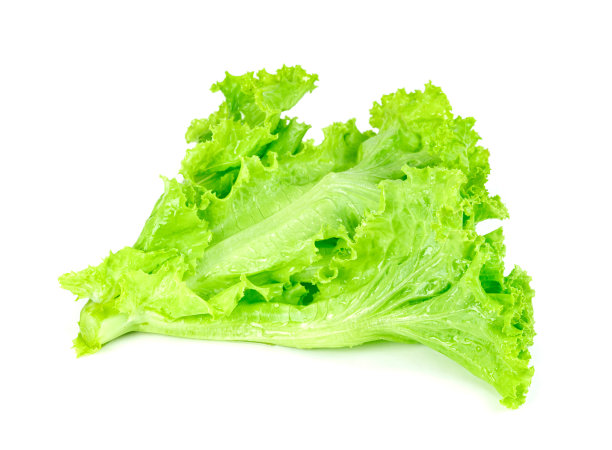 romaine