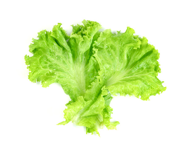romaine