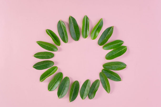 绿色精美圆形花纹图案