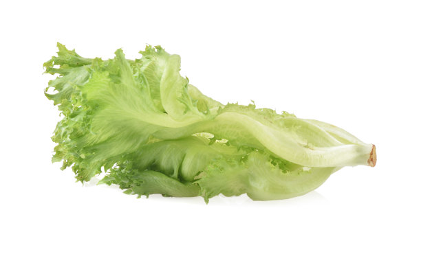 romaine