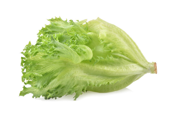 romaine