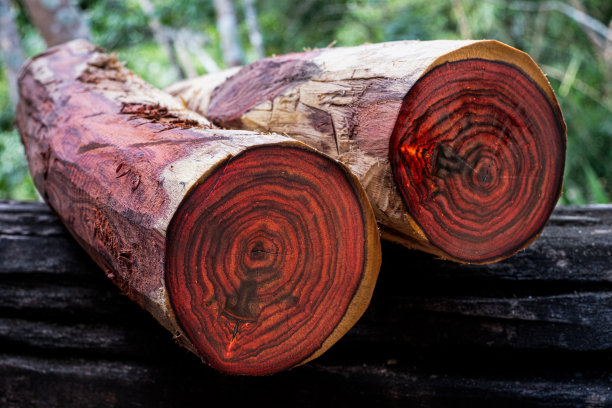 红木材质