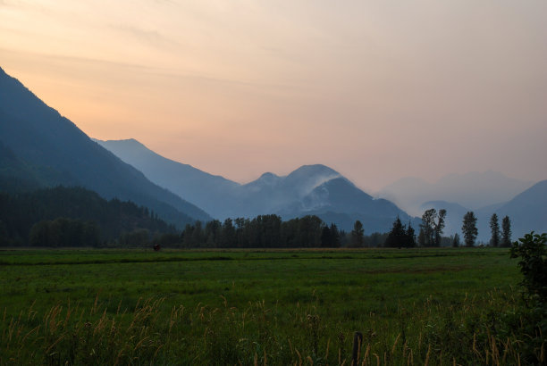 pemberton
