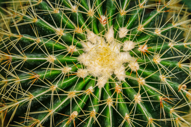 spiked
