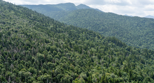 adirondack