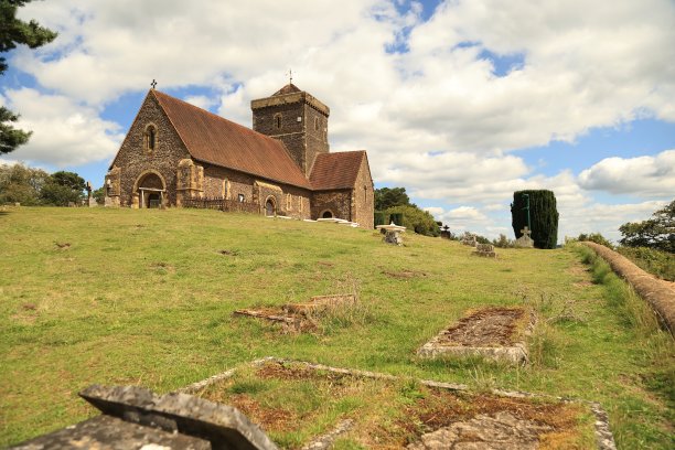 surrey