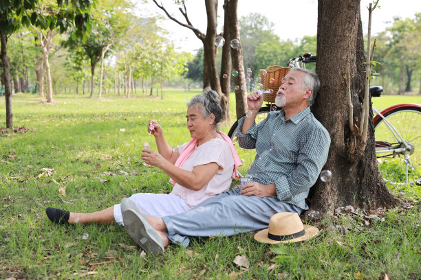 亚洲老年夫妇相互拥抱的肖像。