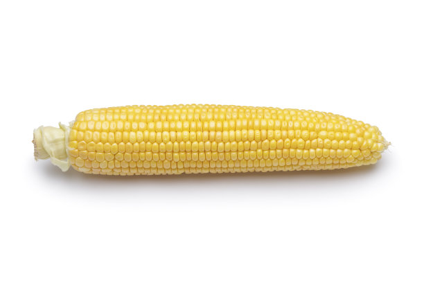 maize