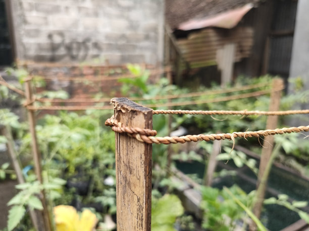 花毛一体