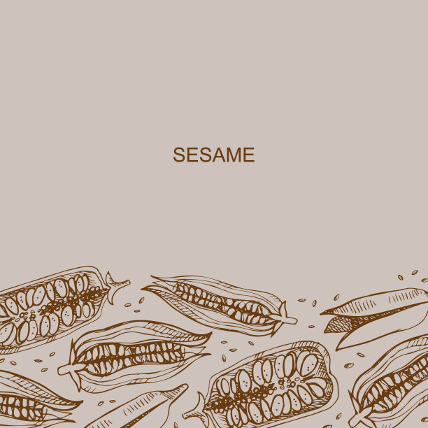 黑芝麻包装插画