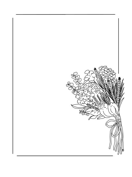 黑白简约线条植物绘画