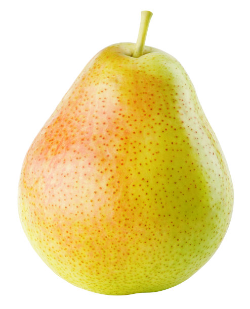 一只梨